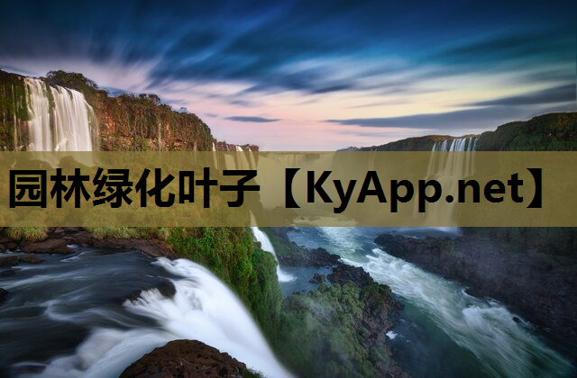 园林绿化叶子