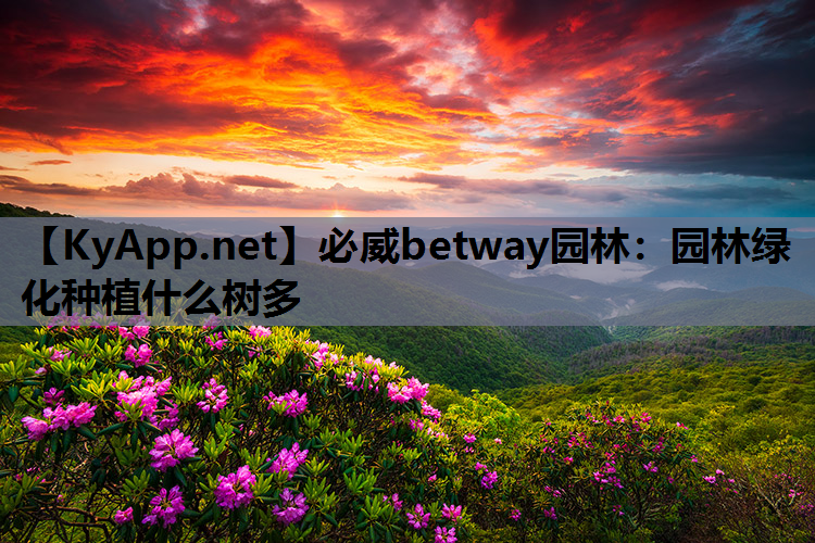 园林绿化种植什么树多