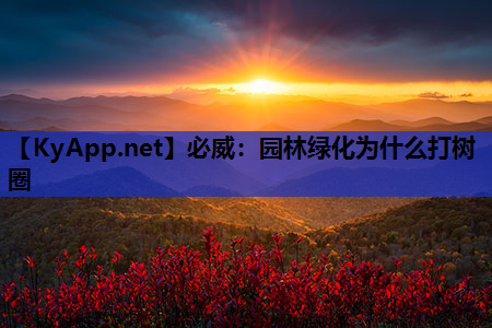 园林绿化为什么打树圈