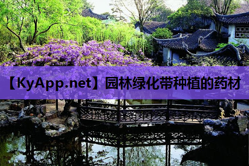 园林绿化带种植的药材