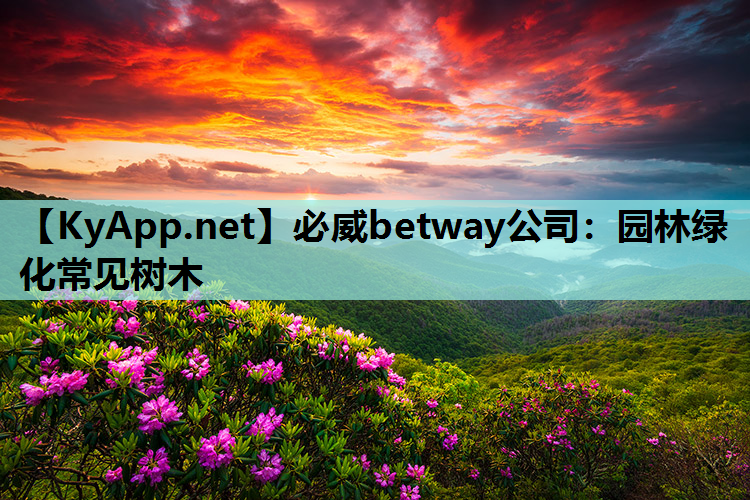 园林绿化常见树木