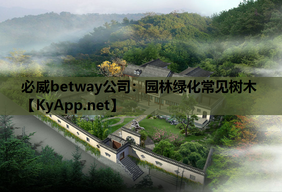 园林绿化常见树木