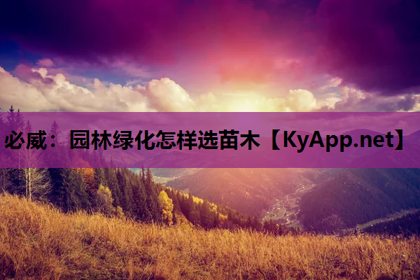园林绿化怎样选苗木