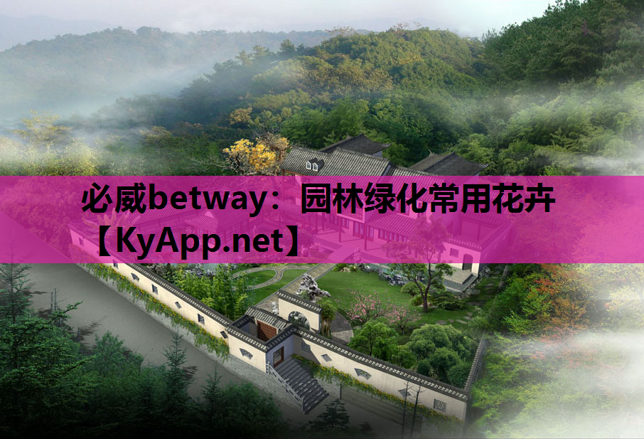 园林绿化常用花卉