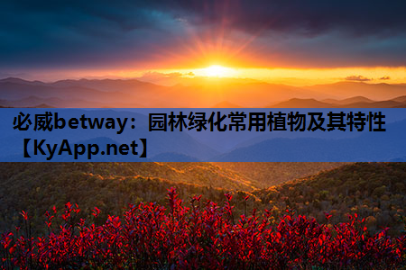 园林绿化常用植物及其特性