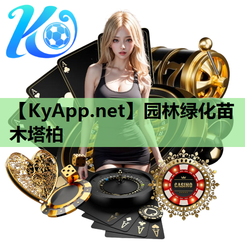 园林绿化苗木塔柏