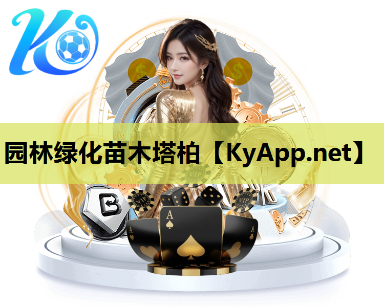 园林绿化苗木塔柏