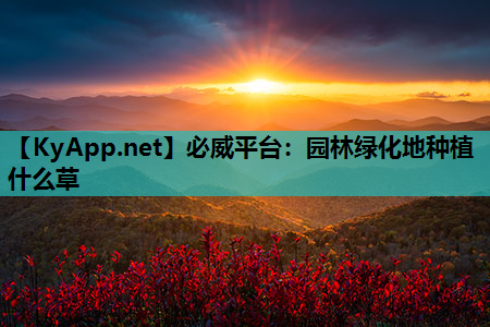 园林绿化地种植什么草