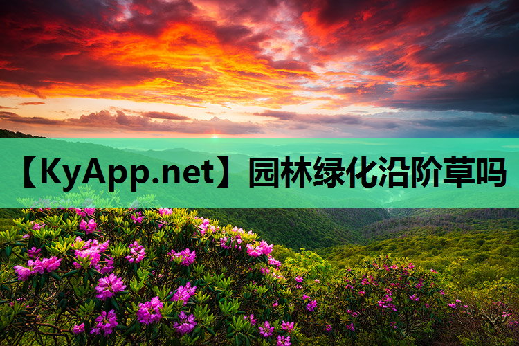 园林绿化沿阶草吗