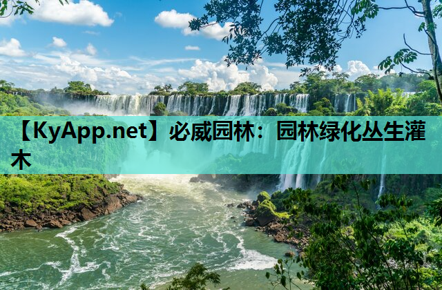 园林绿化丛生灌木