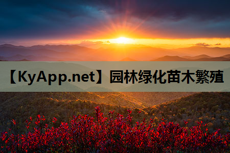 园林绿化苗木繁殖