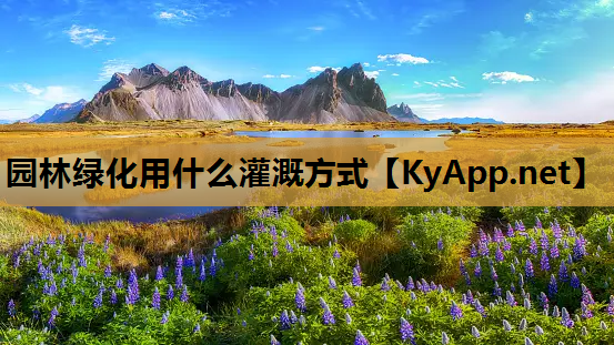 园林绿化用什么灌溉方式