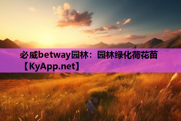 园林绿化荷花苗