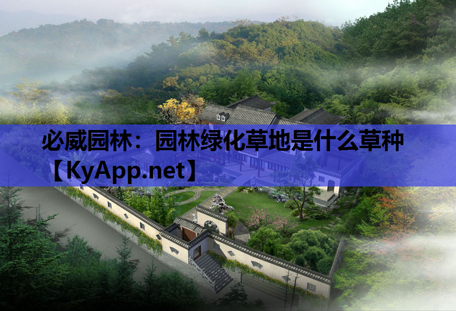 园林绿化草地是什么草种