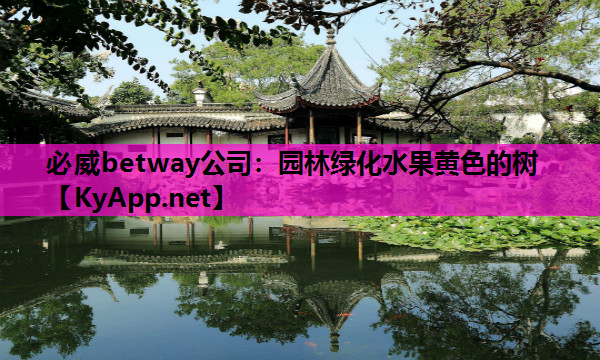 园林绿化水果黄色的树