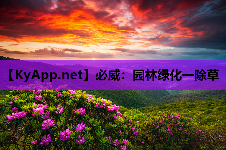 园林绿化一除草