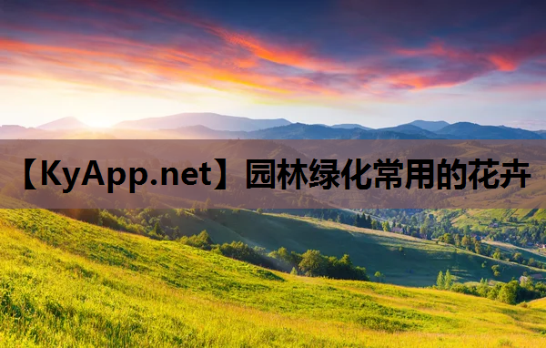 园林绿化常用的花卉