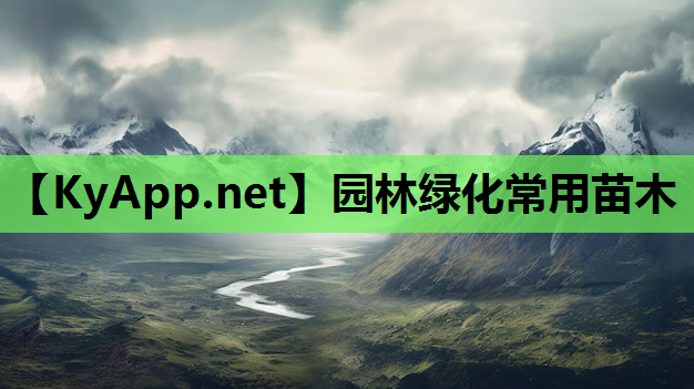 园林绿化常用苗木