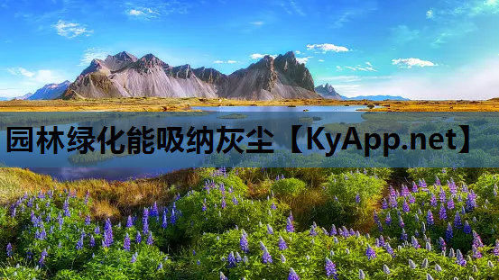 园林绿化能吸纳灰尘