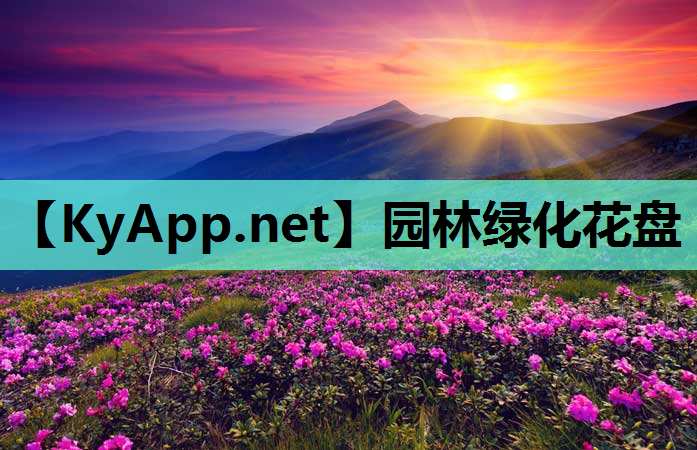 园林绿化花盘