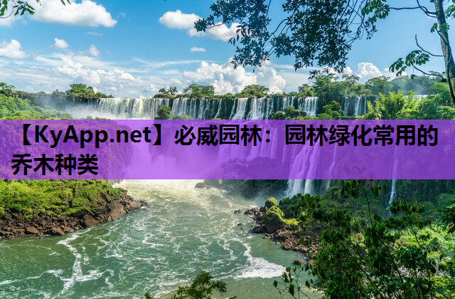 园林绿化常用的乔木种类