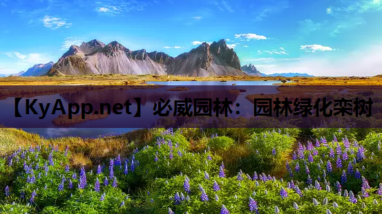 园林绿化栾树