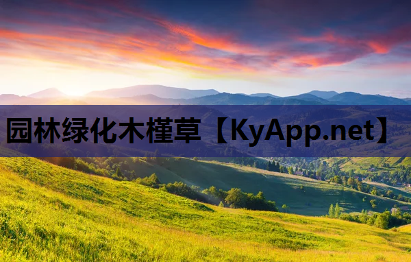 园林绿化木槿草