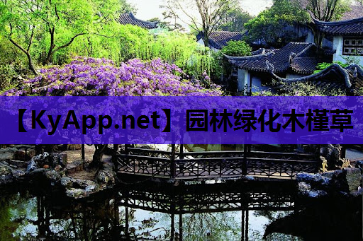 园林绿化木槿草