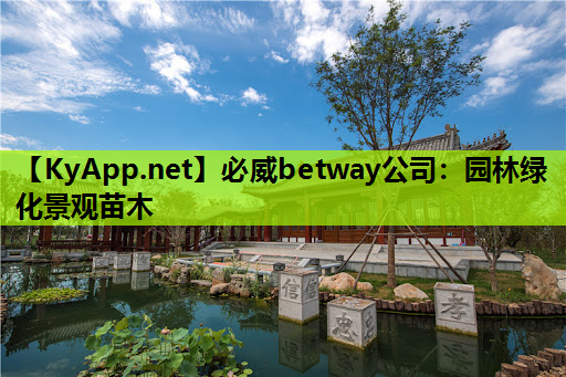 园林绿化景观苗木