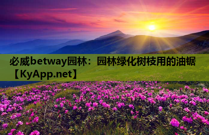 园林绿化树枝用的油锯