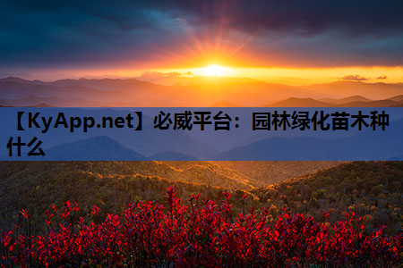 园林绿化苗木种什么