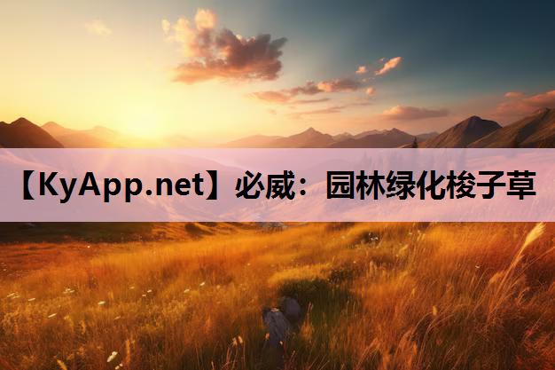 园林绿化梭子草
