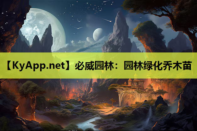 园林绿化乔木苗