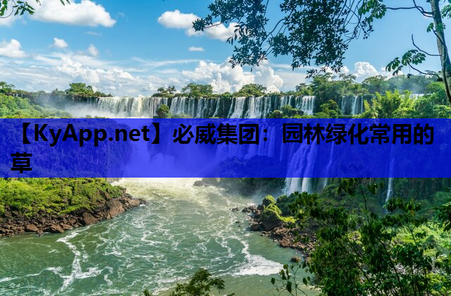 园林绿化常用的草