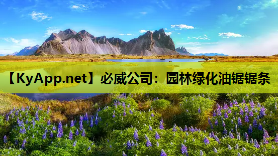 园林绿化油锯锯条